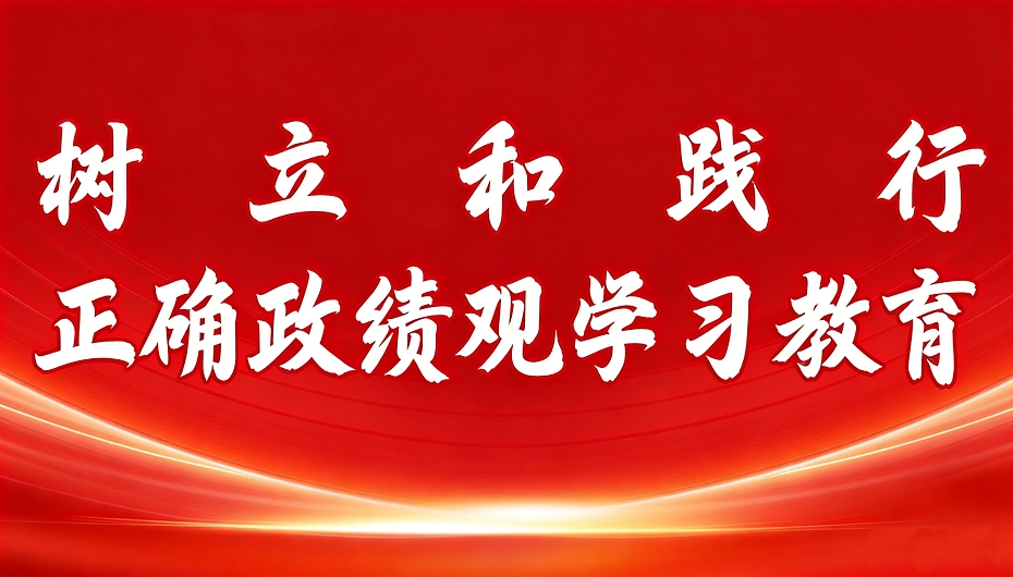 习近平：：设置和践行正确政绩观